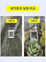 식물 그늘 그물 다육 식물 자외선 차단 그물 검은색 정원 야채 야외 발코니 꽃 녹색 식물 단열재 3개 바늘 원예 - 이미지 2