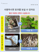 식물 그늘 그물 다육 식물 자외선 차단 그물 검은색 정원 야채 야외 발코니 꽃 녹색 식물 단열재 3개 바늘 원예 - 이미지 3