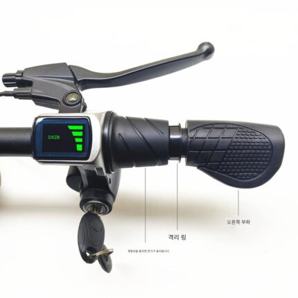 36V48V 키 잠금 스위치 전기 디스플레이 하프 더블 섹션 스로틀 핸들바 피닉스 전기 자전거에 적합