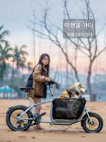 리아 전기 자전거 바구니 반려동물 여행 자전거 여행 반려견 산책 자전거 트레일러 바구니 화물 트럭 익스프레스 배달 차량