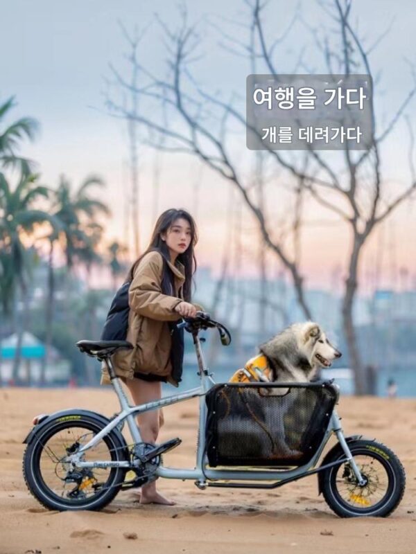 리아 전기 자전거 바구니 반려동물 여행 자전거 여행 반려견 산책 자전거 트레일러 바구니 화물 트럭 익스프레스 배달 차량
