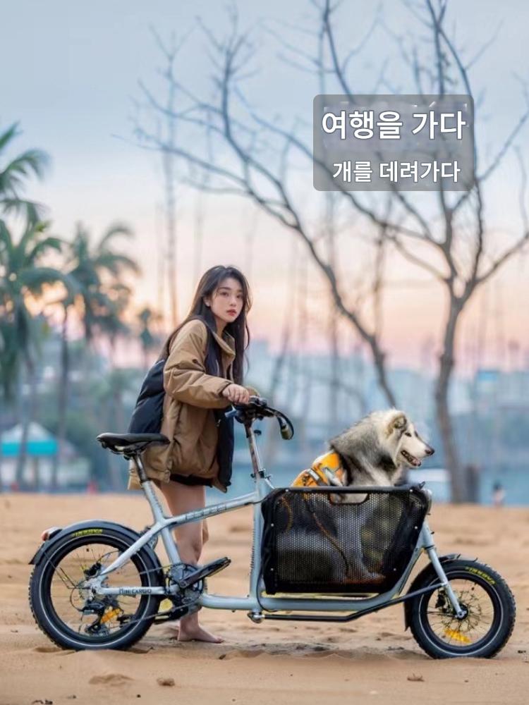 main_801972446419_0-1 리아 전기 자전거 바구니 반려동물 여행 자전거 여행 반려견 산책 자전거 트레일러 바구니 화물 트럭 익스프레스 배달 차량 - 이미지 1