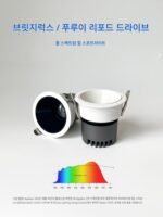 풀 스펙트럼 스포트라이트 카샨 가정용 언덕 벽 세척 딥컵 눈부심 방지 브릿지 LED 칩 + 리포드 드라이버