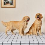 시뮬레이션 개 바닥 수지 장식품 골든 리트리버 애완동물 모델 가드견 집 안뜰 거실 유리 섬유 장식 - 이미지 4