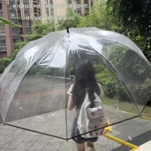 특대형 우산, 특대형, 확대, 두껍게 하고 강화, 폭우, 맑음 및 비오는 날에도 사용 가능, 창의적이고 재미있는 다인용 대형 우산