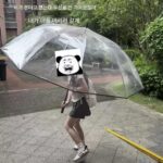 특대형 우산, 특대형, 확대, 두껍게 하고 강화, 폭우, 맑음 및 비오는 날에도 사용 가능, 창의적이고 재미있는 다인용 대형 우산 - 이미지 2