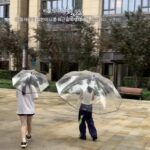 특대형 우산, 특대형, 확대, 두껍게 하고 강화, 폭우, 맑음 및 비오는 날에도 사용 가능, 창의적이고 재미있는 다인용 대형 우산 - 이미지 5
