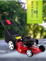 가솔린 잔디 깎는 기계, 푸시형 잔디 깎는 기계, 잔디 트리머, 과수원 자주식 잔디 깎는 기계, 푸시형 잔디 깎는 기계 - 이미지 3