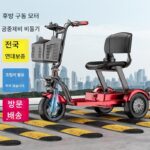 노인용 스쿠터 전기 삼륜차 접이식 배터리 자동차 분리형 배터리 성인용 소형 전기 자동차 홈 - 이미지 4