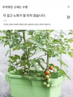 꽃상자 긴 직사각형 자체흡수 발코니 가정용 바퀴 달린 트레이 플라스틱 초대형 통기성 수지 야채 화분 - 이미지 4