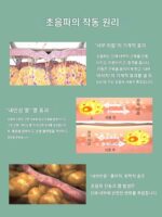 항염성 재활 충격 고주파 초음파 미용 기기 치료기 통증 완화 전기 마사지기 근막 뼈 소개 - 이미지 2