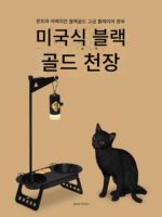 몬트마 아메리칸 블랙골드 스테인리스 스틸 그릇 고양이와 개를 위한 범용 먹이 그릇 애완동물 캠핑 가구 식탁 목 보호대 넘어짐 방지