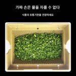 다진 파, 고추 링, 기장 고추, 고수, 부추, 마늘 새싹을 자르는 상업용 다기능 야채 커터 - 이미지 4