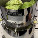 전자동 양배추 분쇄기 일본산 양배추 올리브 야채 양파 분쇄기 양배추 특수 상업용 야채 분쇄기 - 이미지 4