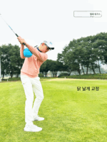 MELE 골프 커넥션 볼 골프 스윙 트레이너 세이 굿바이 치킨 윙 교정기 - 이미지 2