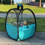 앵무새 여행 가방 투명 휴대용 핸드헬드 새장 블랙 피닉스 찌르레기 및 작은 타이 상 따뜻한 빛 차단 대형 여행 가방 - 이미지 3