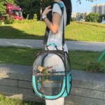 앵무새 여행 가방 투명 휴대용 핸드헬드 새장 블랙 피닉스 찌르레기 및 작은 타이 상 따뜻한 빛 차단 대형 여행 가방 - 이미지 4