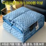수출 A+ 코튼 다운 이불 95 화이트 거위털 봄 가을 이불 정품 겨울 이불 코어 더블 이불 두껍고 따뜻함