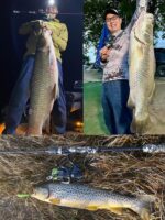 핀디아오 25 포레스터 6단 루야 낚싯대 여행용 낚싯대 다중단 초경량 낚싯대 거꾸로 된 저음 장거리 캐스팅 범용 낚싯대 - 이미지 4