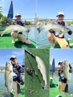 핀디아오 25 포레스터 6단 루야 낚싯대 여행용 낚싯대 다중단 초경량 낚싯대 거꾸로 된 저음 장거리 캐스팅 범용 낚싯대 - 이미지 5