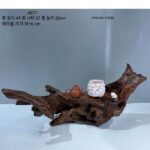 천연 뿌리 예술 나무 뿌리 조각 장식품 가정용품 풍화된 죽은 나무 사진 소품 통나무 받침대 A9 - 이미지 2