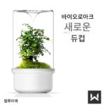 Bioloark 이슬 수집 컵 신제품 세라믹 바닥 마이크로 랜드스케이프 이끼 병 답답한 병 데스크탑 신제품 장식품 흑백