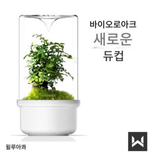 Bioloark 이슬 수집 컵 신제품 세라믹 바닥 마이크로 랜드스케이프 이끼 병 답답한 병 데스크탑 신제품 장식품 흑백