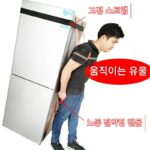 독일 이동식 유물 1인용 스트랩 리프트 냉장고 세탁기 에어컨 도구 무거운 물건 계단 위아래 미끄럼 방지 보관 - 이미지 3