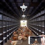 조명 모니터링 통합 카메라 램프 헤드 무선 WiFi 홈 모니터 모바일 폰 리모컨 HD 나이트 비전 - 이미지 3