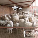 조명 모니터링 통합 카메라 램프 헤드 무선 WiFi 홈 모니터 모바일 폰 리모컨 HD 나이트 비전 - 이미지 4