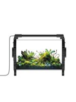 Bioloark Bio-Ark 바이오컬티베이션 챔버 마이크로 랜드스케이프 데스크탑 장식품 고붕규산 유리 LED 램프 - 이미지 5