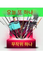 한딩 [낚시용품 블라인드 박스] 유럽식 낚시의자 딥넷 낚싯대 수백가지 낚시용품 세트 랜덤 배송 - 이미지 2
