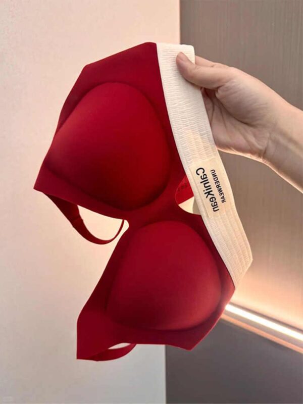 조디악 해에 여성을 위한 매끄러운 빨간 속옷, 신부가 가슴을 들어올리고 줄이며, 큰 가슴이 작아 보이는, 모인 브라 세트