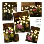 태양광 정원 조명 야외 방수 빌라 정원 발코니 레이아웃 장식 분위기 민들레 잔디 조명 - 이미지 3