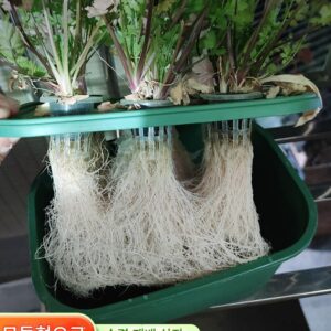 Fire Xing Planting™ 수경 재배 상자 및 가정용 발코니 무토양 채소 재배용 수경 장비