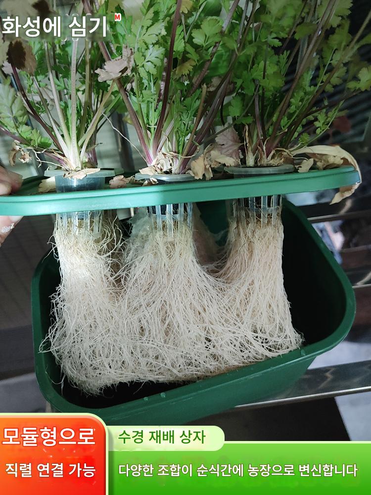 main_898143875371_0-1 Fire Xing Planting™ 수경 재배 상자 및 가정용 발코니 무토양 채소 재배용 수경 장비 - 이미지 1