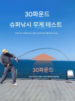 2025년 신형 바다낚싯대 장거리 캐스팅 바다낚싯대 캐스팅 낚싯대 스피닝릴 실버잉어 빅헤드 잉어 풀세트 고탄소 초경량 초경량 바다낚싯대 - 이미지 5