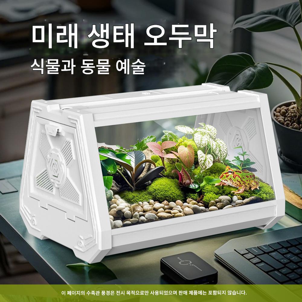 main_902862722230_0-1 NOMOYPET 생태 조경 탱크 데스크탑 어항 거북이 탱크 수족관 물 탱크 열대 우림 탱크 거북이 탱크 - 이미지 1