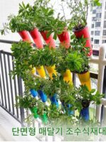 발코니 물고기와 채소 공생 조수 수경 무지개 재배 시스템 무토 재배 채소 재배 자동화 장비 통합 - 이미지 2