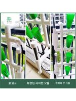 발코니 물고기와 채소 공생 조수 수경 무지개 재배 시스템 무토 재배 채소 재배 자동화 장비 통합 - 이미지 5