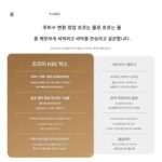 Dreame Chase 바닥세척기 H20MixCE 무선 스마트 진공청소기 열풍건조 고온 온수 자체세척