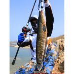 일본 다와 수입 M-튜닝 루야 슈트 워터드롭 휠 낚싯대 바다낚싯대 캐스팅 낚싯대 장거리 미끄러짐 낚싯대 슈트 - 이미지 4