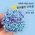 엉킴 방지 낚시 공간 콩 세트 300개 벌크 경쟁용 실리콘 메인 라인 그룹 낚시 장비 트럼펫 액세서리 전체 세트