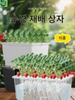 15홀 수경재배 야채 심기 상자 무토 재배 발코니 야채 심기 수경 식물 모종 어린이 교육 야채 심기 기계