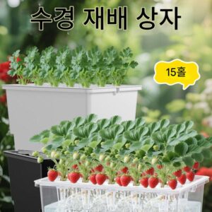 15홀 수경재배 야채 심기 상자 무토 재배 발코니 야채 심기 수경 식물 모종 어린이 교육 야채 심기 기계
