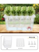 15홀 수경재배 야채 심기 상자 무토 재배 발코니 야채 심기 수경 식물 모종 어린이 교육 야채 심기 기계 - 이미지 3
