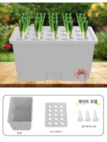 15홀 수경재배 야채 심기 상자 무토 재배 발코니 야채 심기 수경 식물 모종 어린이 교육 야채 심기 기계 - 이미지 4