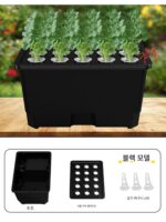 15홀 수경재배 야채 심기 상자 무토 재배 발코니 야채 심기 수경 식물 모종 어린이 교육 야채 심기 기계 - 이미지 5