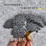 새로운 초소형 공간 빈 루어 엉킴 방지 실리콘 서리 세트 100개 벌크 풀 세트 조합 낚시 액세서리 - 이미지 4
