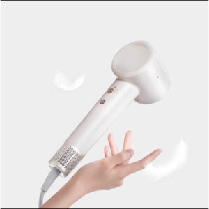 드리미 고속 헤어드라이어 음이온 강풍 저소음 오로라 G10